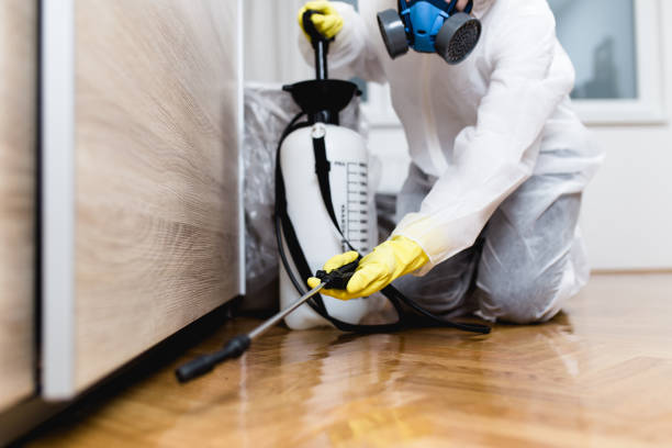 Best Rat Extermination Near Me  in Fontana, CA