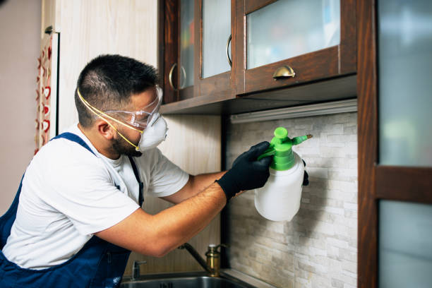 Best Residential Pest Control  in Fontana, CA