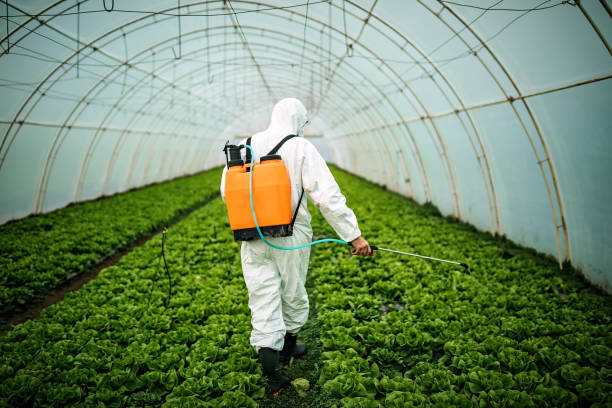 Best Commercial Pest Control Services  in Fontana, CA