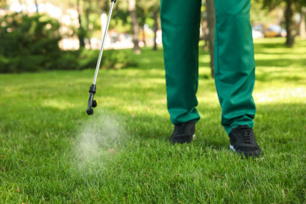 Best Pest Inspection Near Me  in Fontana, CA
