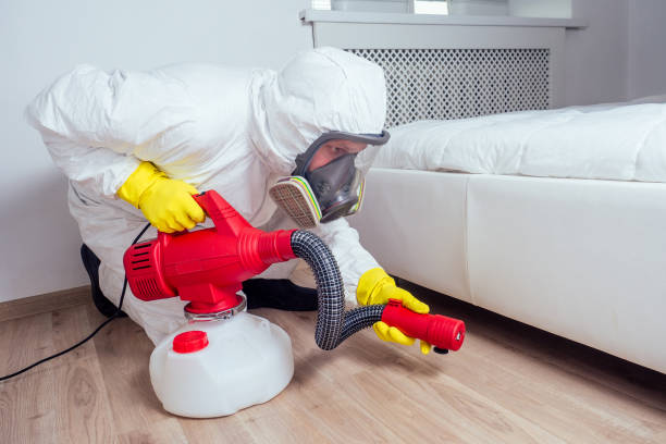 Best Affordable Pest Control Services  in Fontana, CA