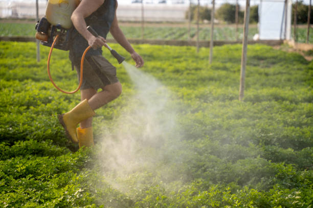 Best Best Pest Control Companies  in Fontana, CA