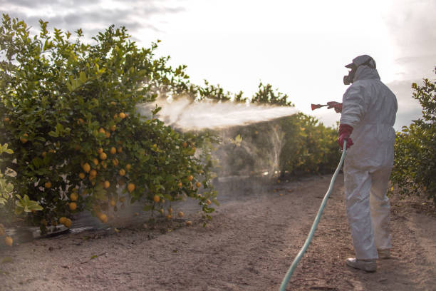 Best Rodent Control Near Me  in Fontana, CA