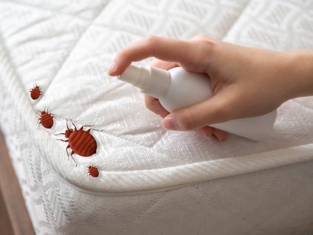  Fontana, CA Pest Control Pros