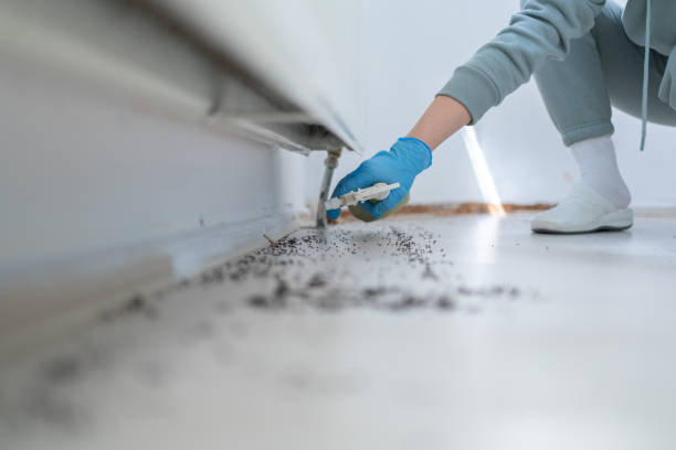 Trusted Fontana, CA Pest Control Experts