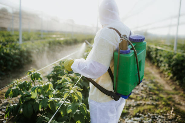 Best Termite Control Services  in Fontana, CA